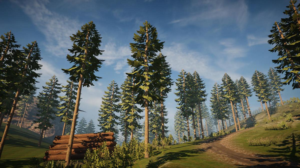 Pine Tree Bundle (Mobile)