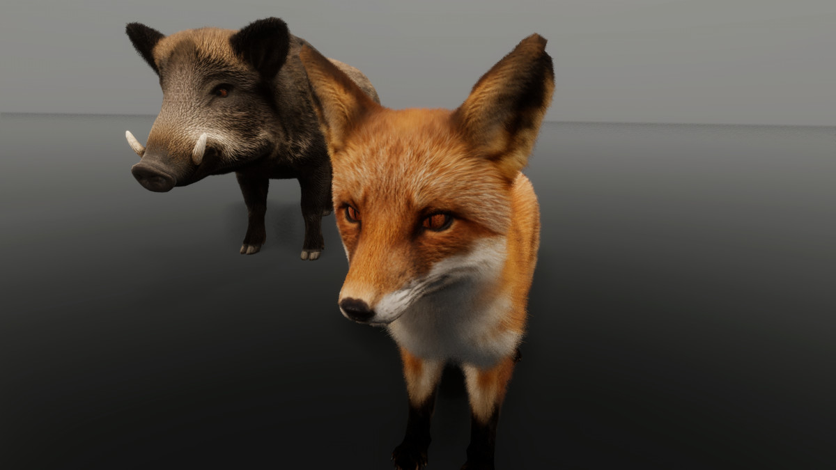 Ultrarealistic Forest Animals - Customizable Fur
