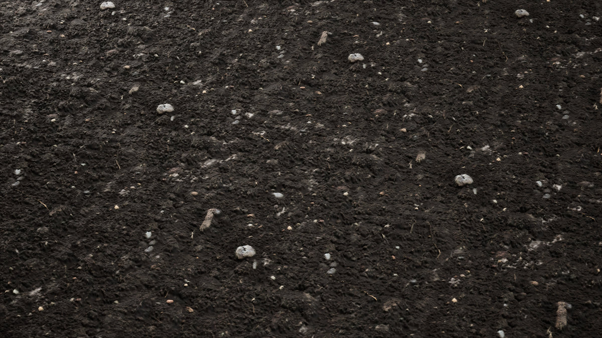 Realistic Materials - Soil 1