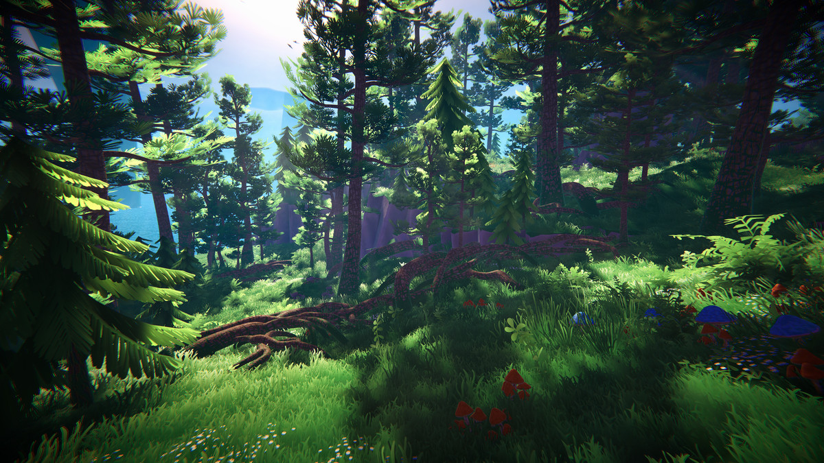 Adventure Nature Vol.6 Forest
