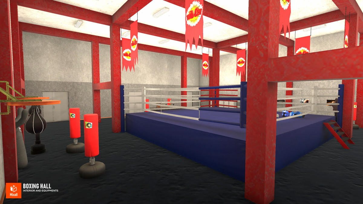 Boxing hall - interior and equipments