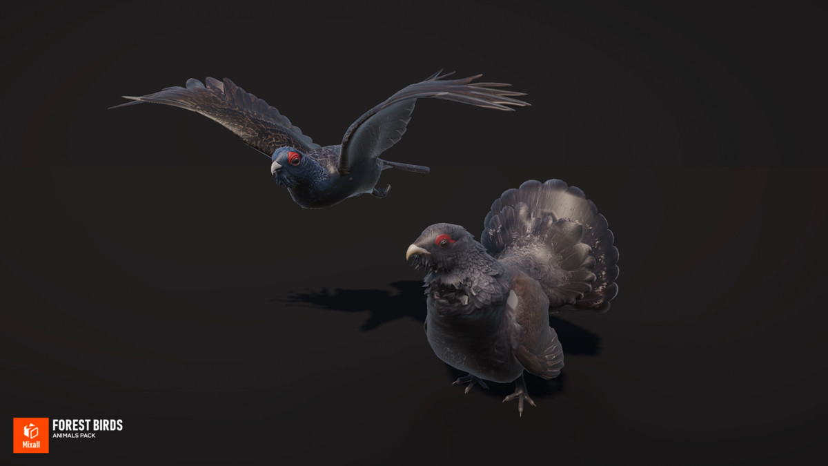 60 Birds - Full Animals Pack