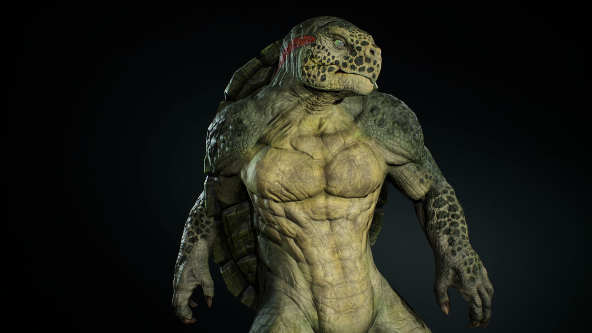 Turtle Humanoid
