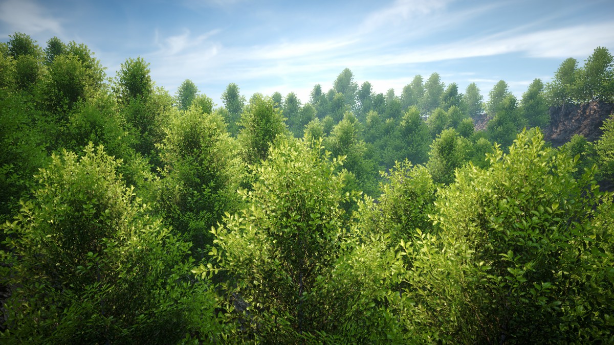 Tree Normal Toolkit (AAA Tree Rendering)