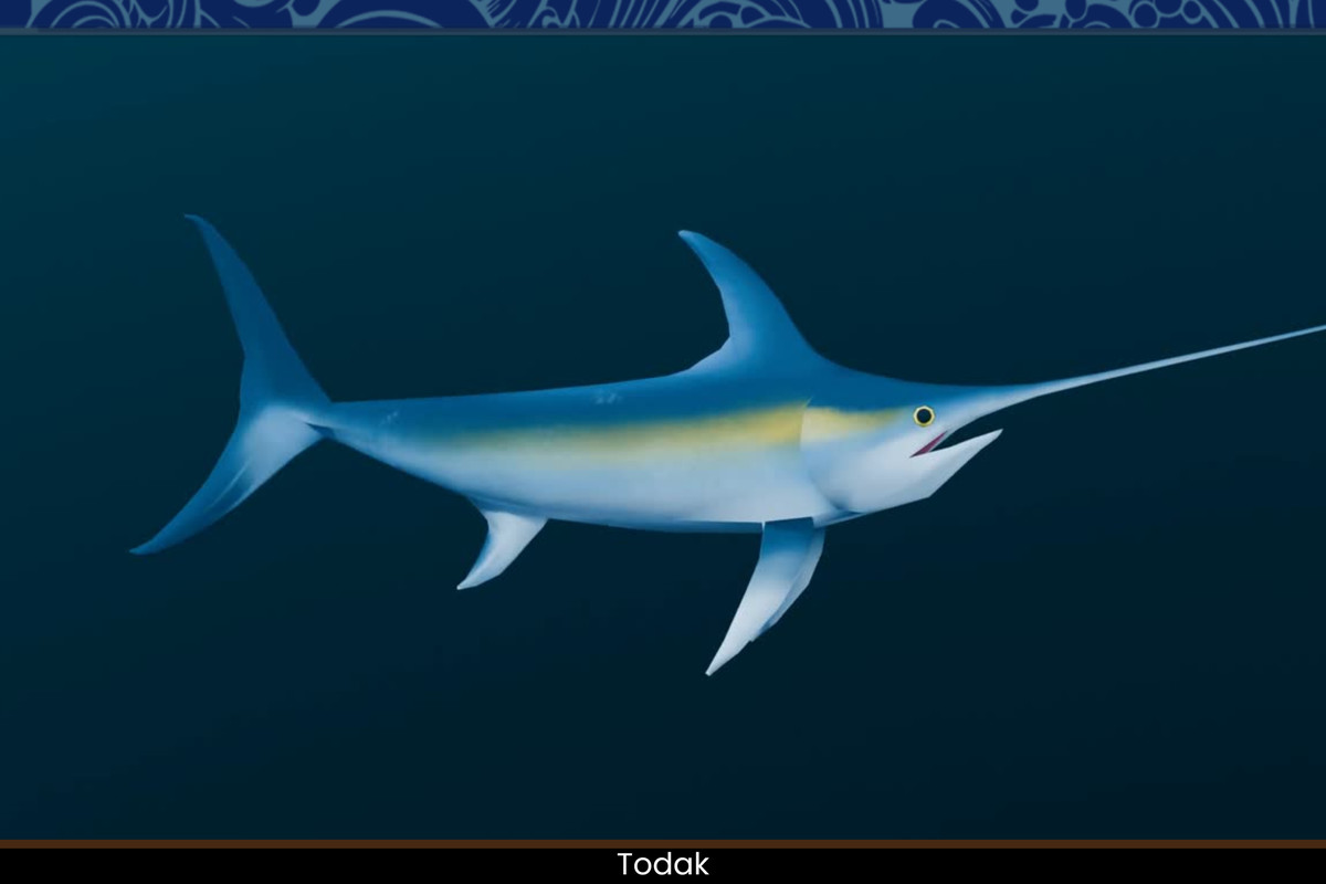 Nusantara Ocean Fish