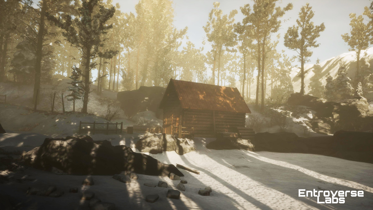 Taiga Biome Environment / Boreal Tundra Forest