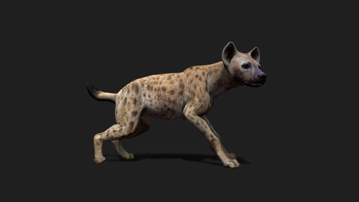 WILDPOLY - Animated Animals – Realistic Pack