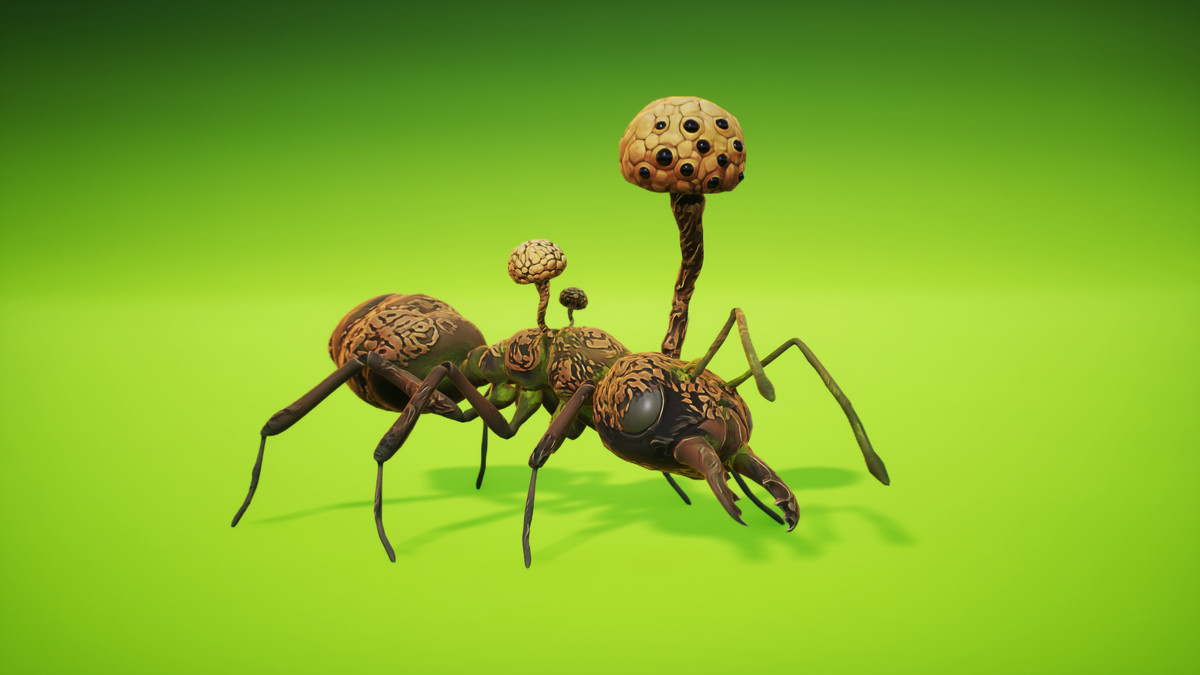Cordyceps Ant