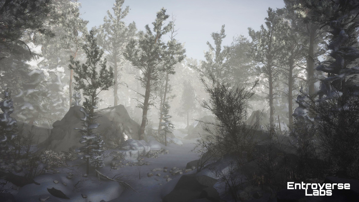 Taiga Biome Environment / Boreal Tundra Forest