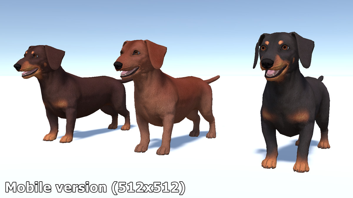 Dog -- Dachshund