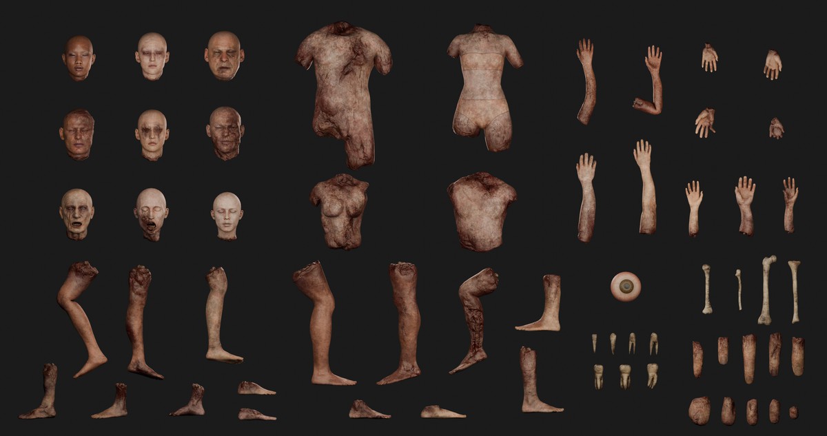 Human Body Parts