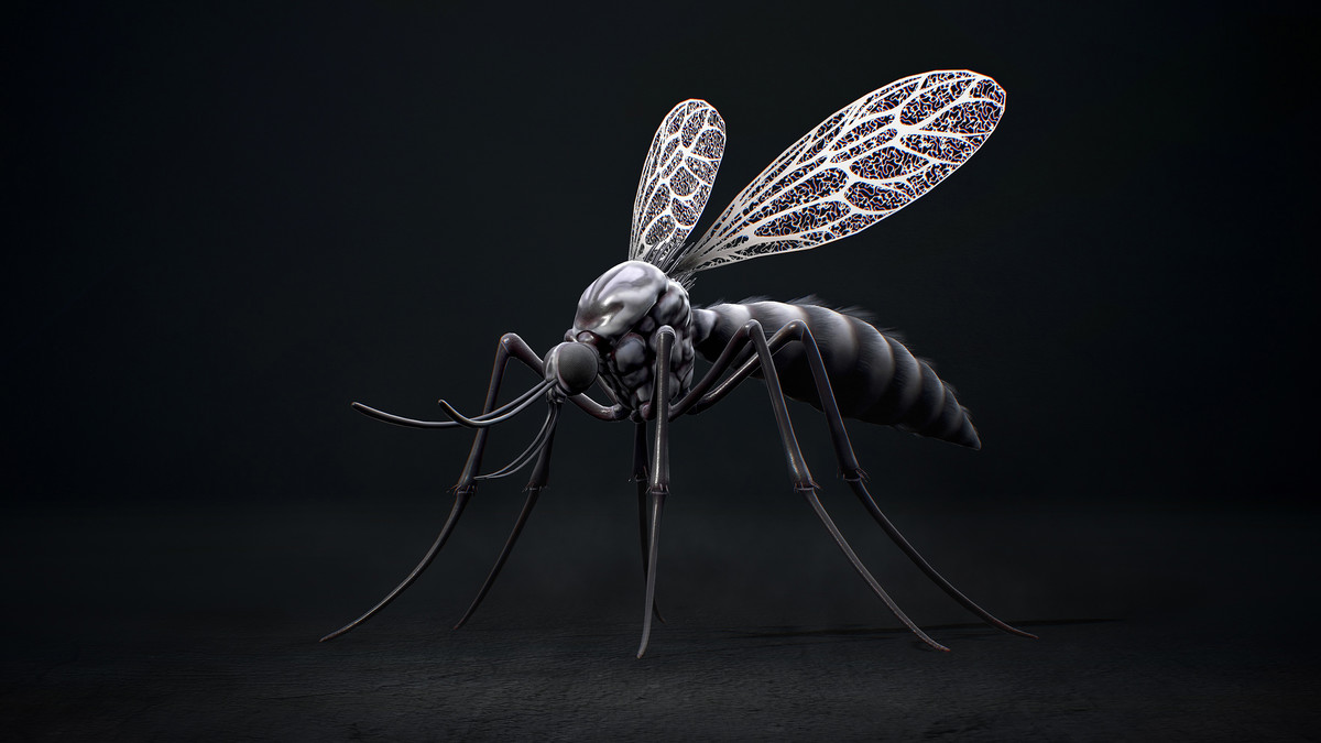 Mosquito Defender - Fantasy land Mosquitoes