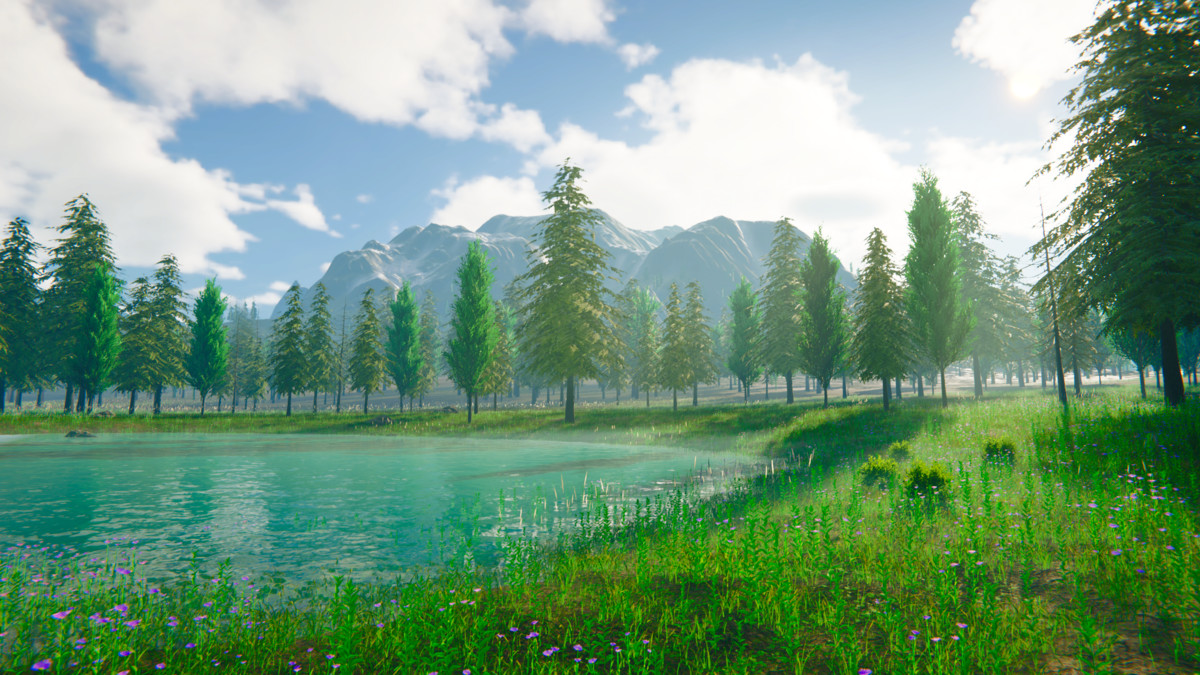 Grass Landscape