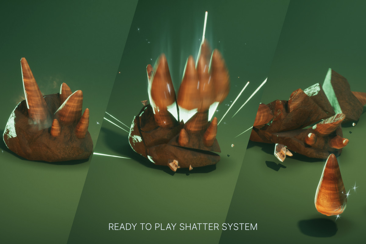 Shatter Stone: Fossils