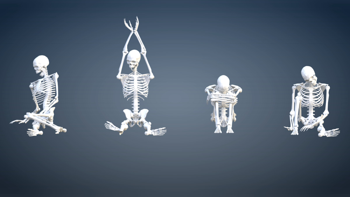 PolyArt Series - Skeletons