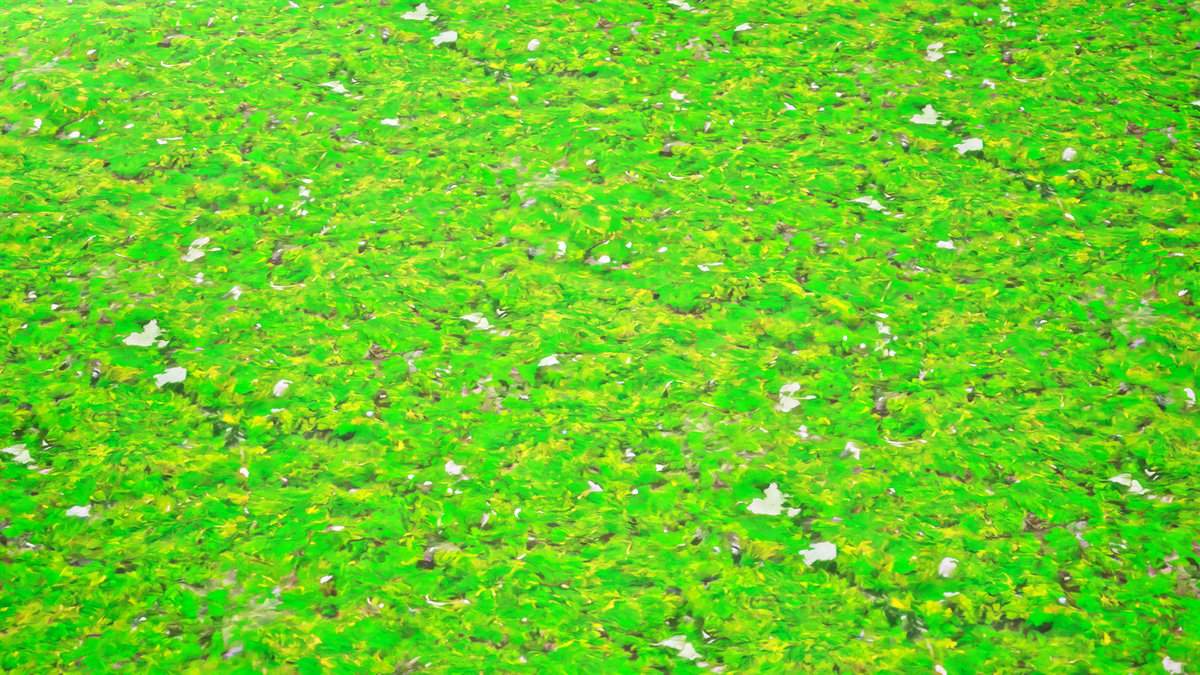 Stylized Materials - Moss 1