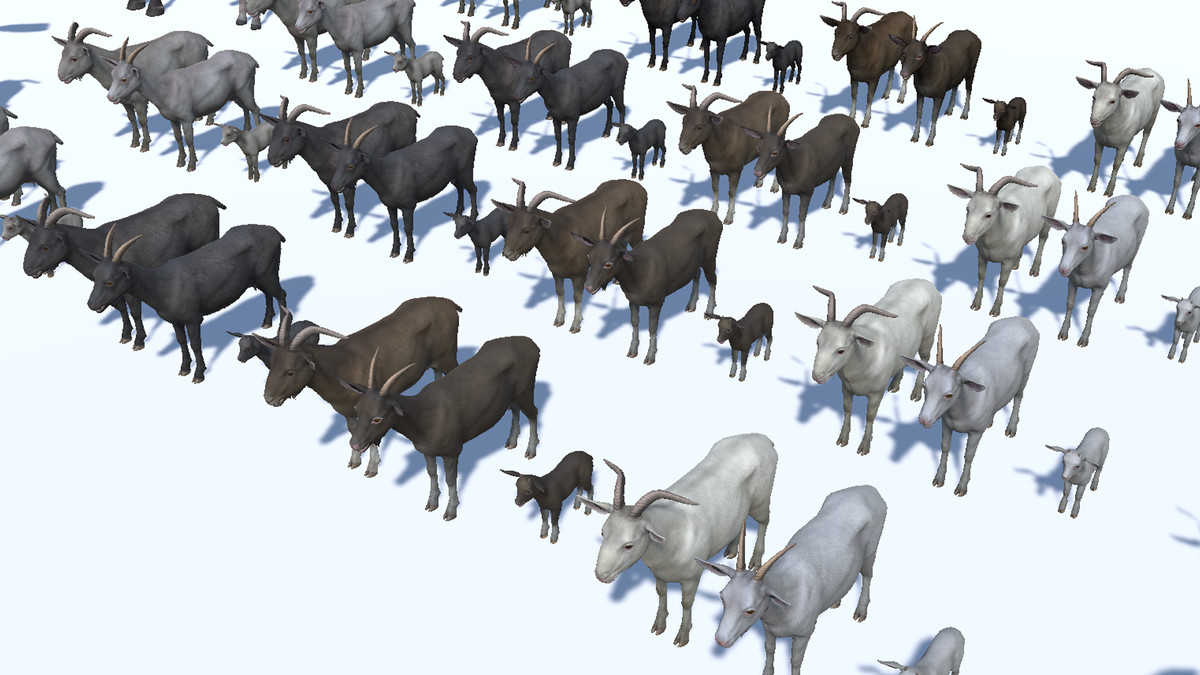 DOMESTIC ANIMAL PACK