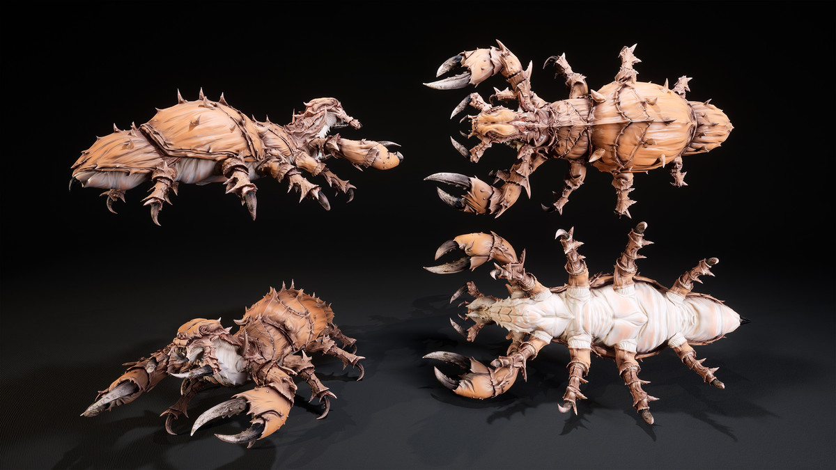 Insect
