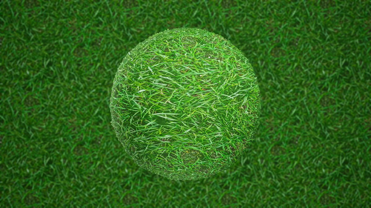 Realistic Materials - Forest Ground 1