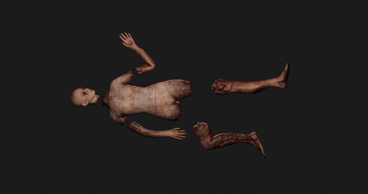 Human Body Parts