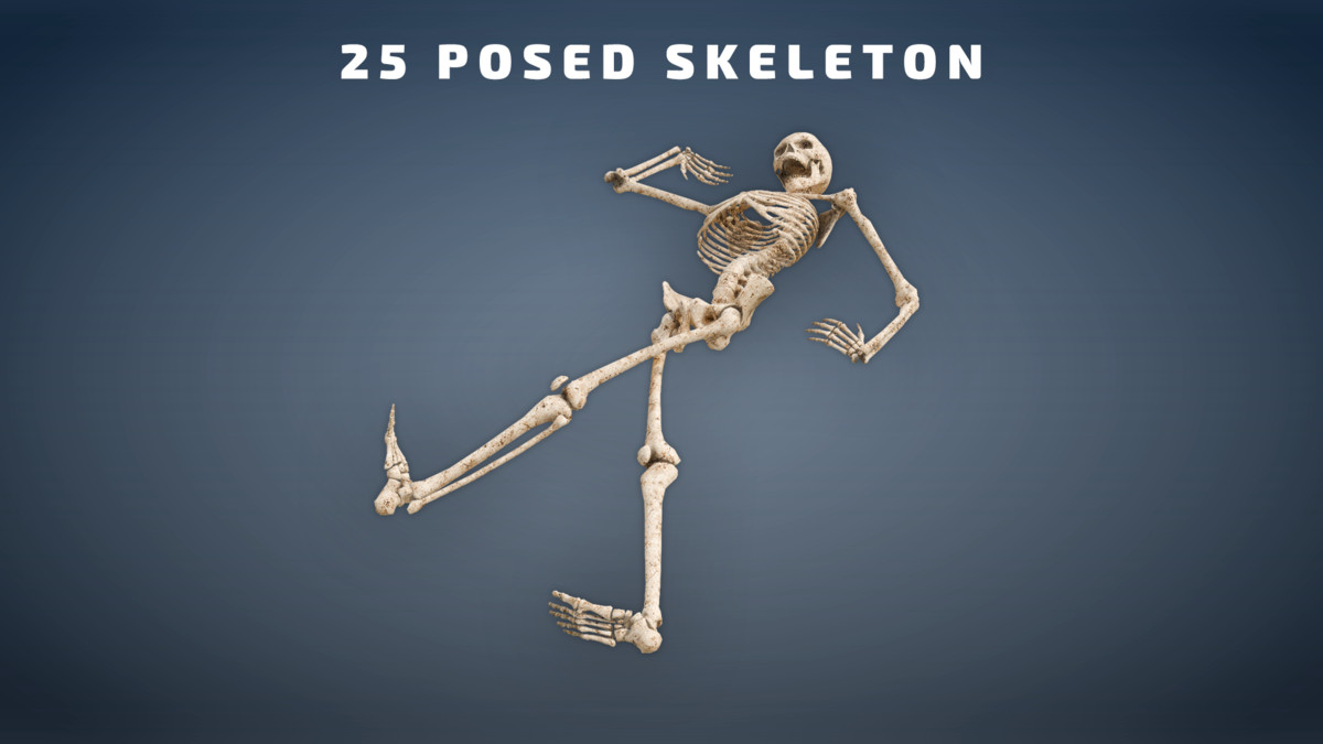 Skeleton Pack