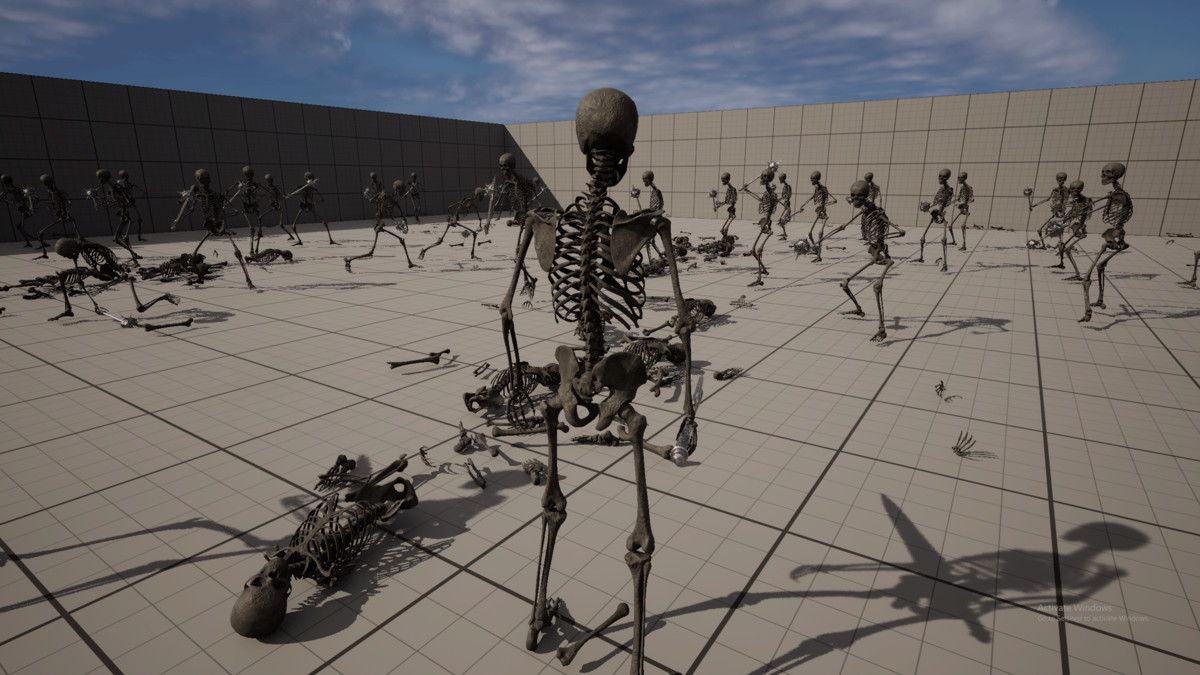 Skeleton Base