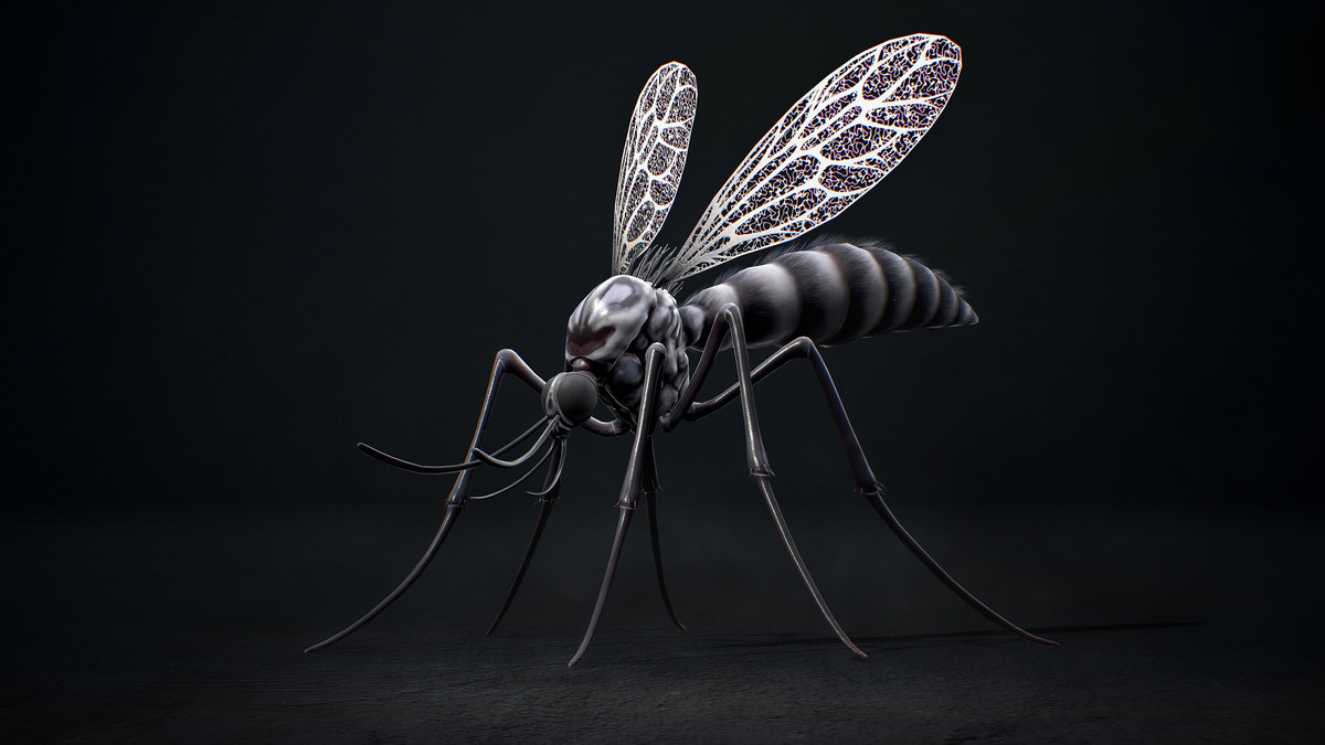 Mosquito Defender - Fantasy land Mosquitoes