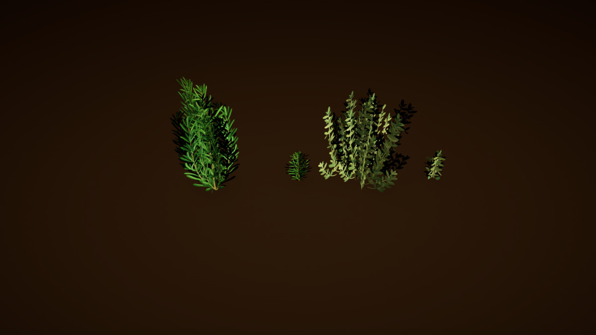 Garden Plants Set