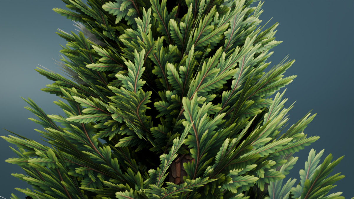 Low Poly Stylized Evergreen Trees Pack - Mini World Studio