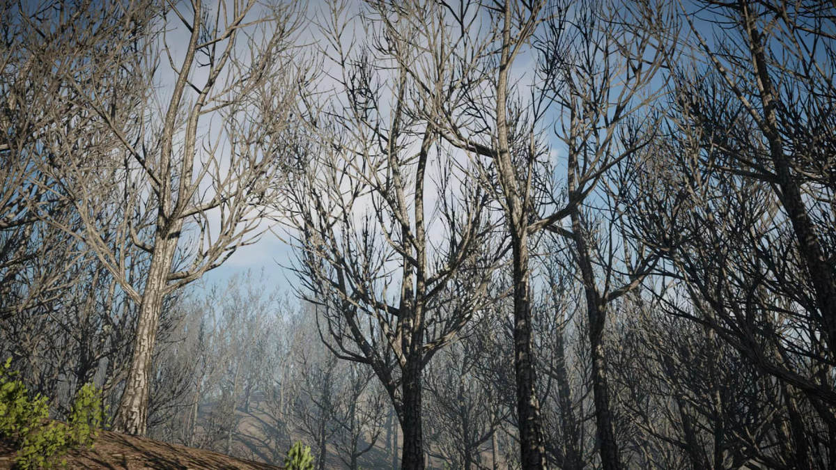 Mega Tree Bundle (All in One)