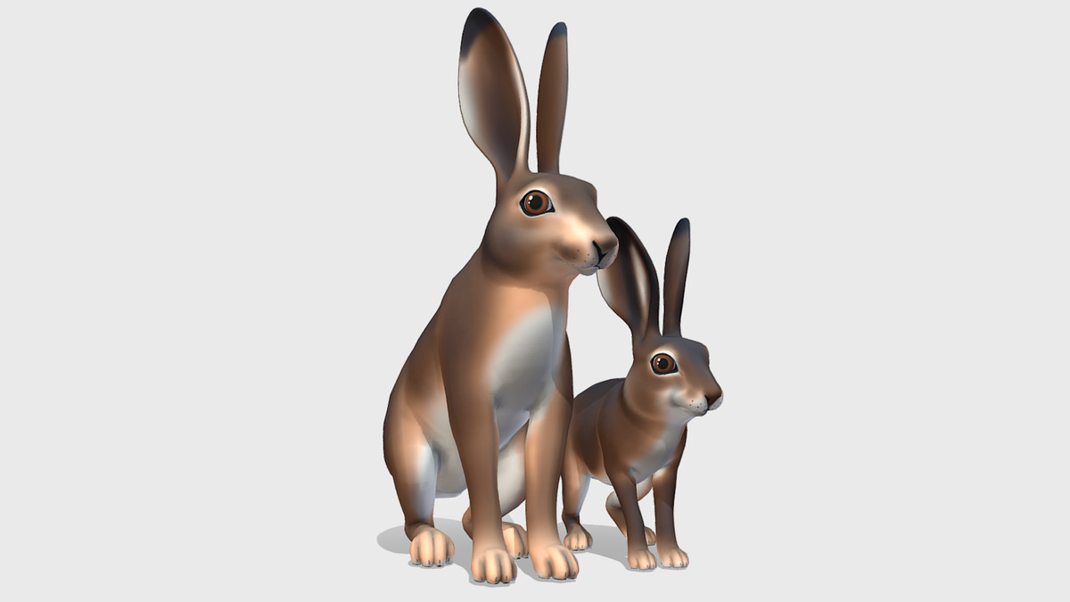 Cartoon Wild Animals