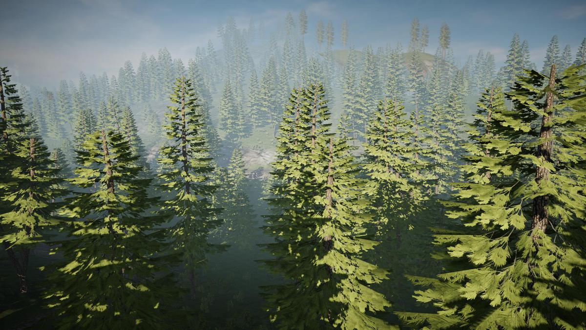 Pine Tree Bundle (Mobile)