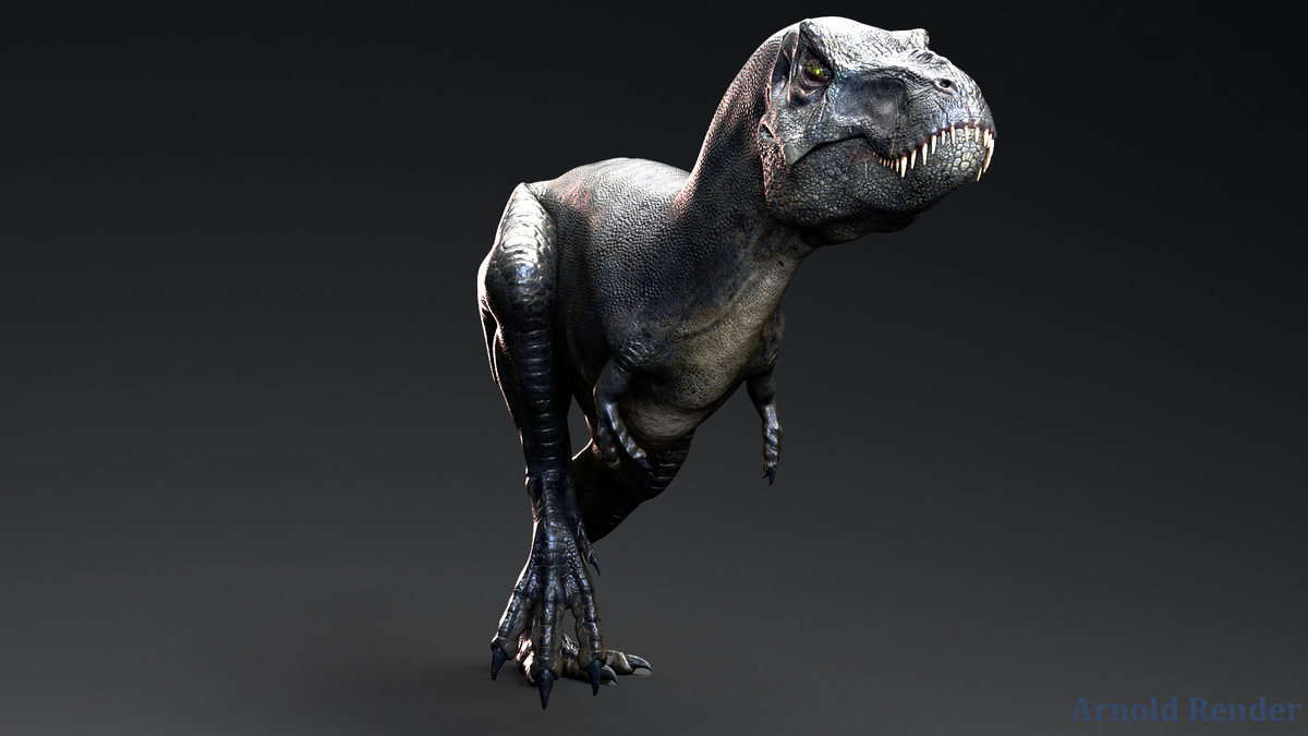 Dinosaur - Sub-Adult TRex