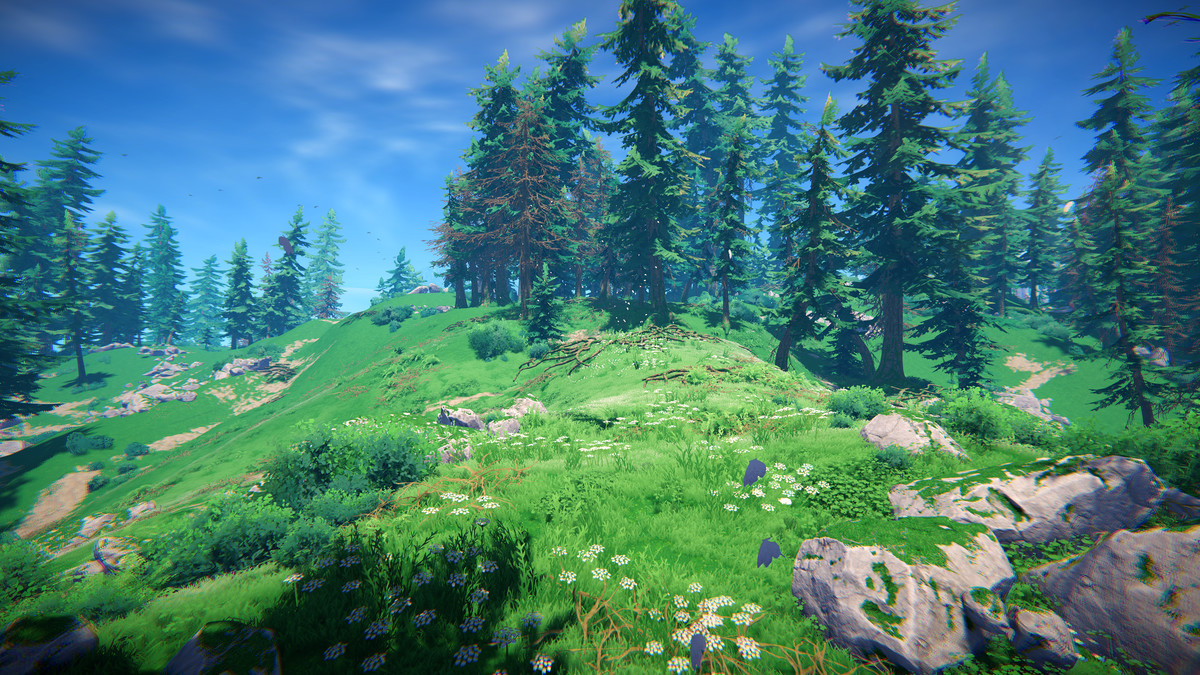 Adventure Nature Vol.7 Spruce Forest