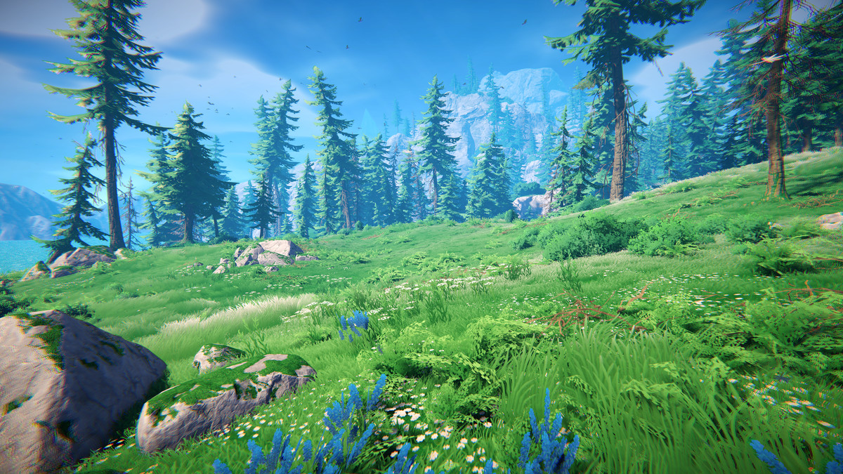 Adventure Nature Vol.7 Spruce Forest