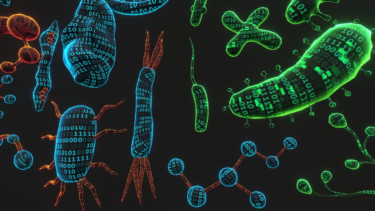 Cyber Viruses & Bio molecules