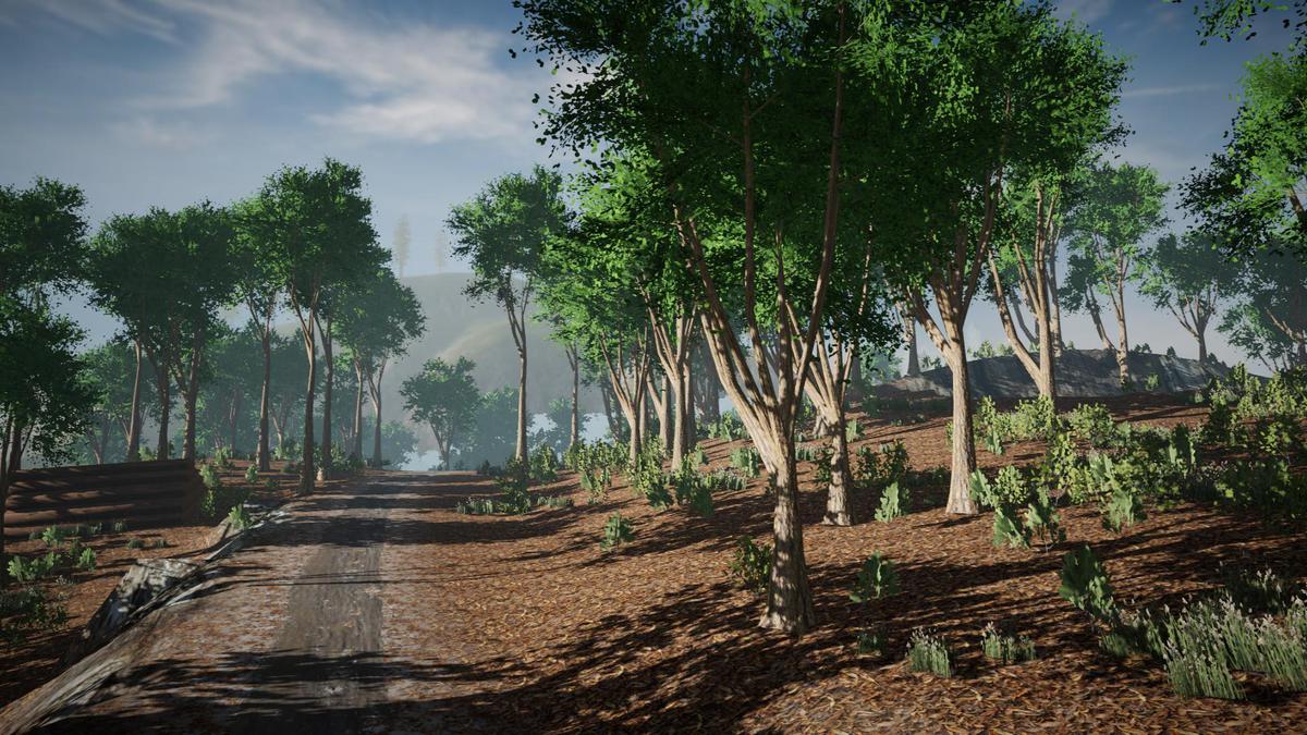 Asset Screenshot 5