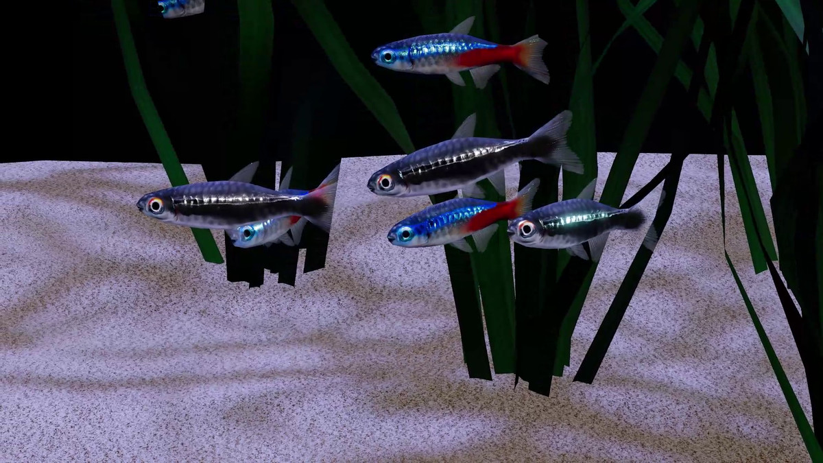 Fish School AI - Tropical Aquarium Set