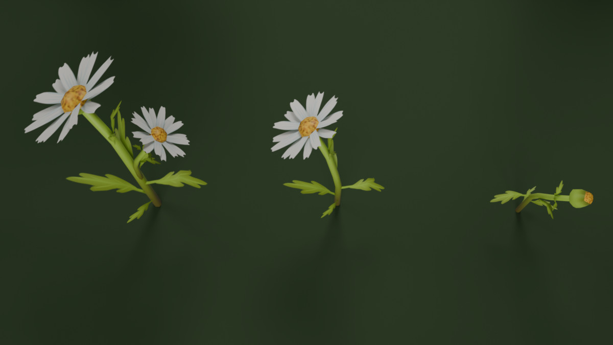 Low Poly Flowers