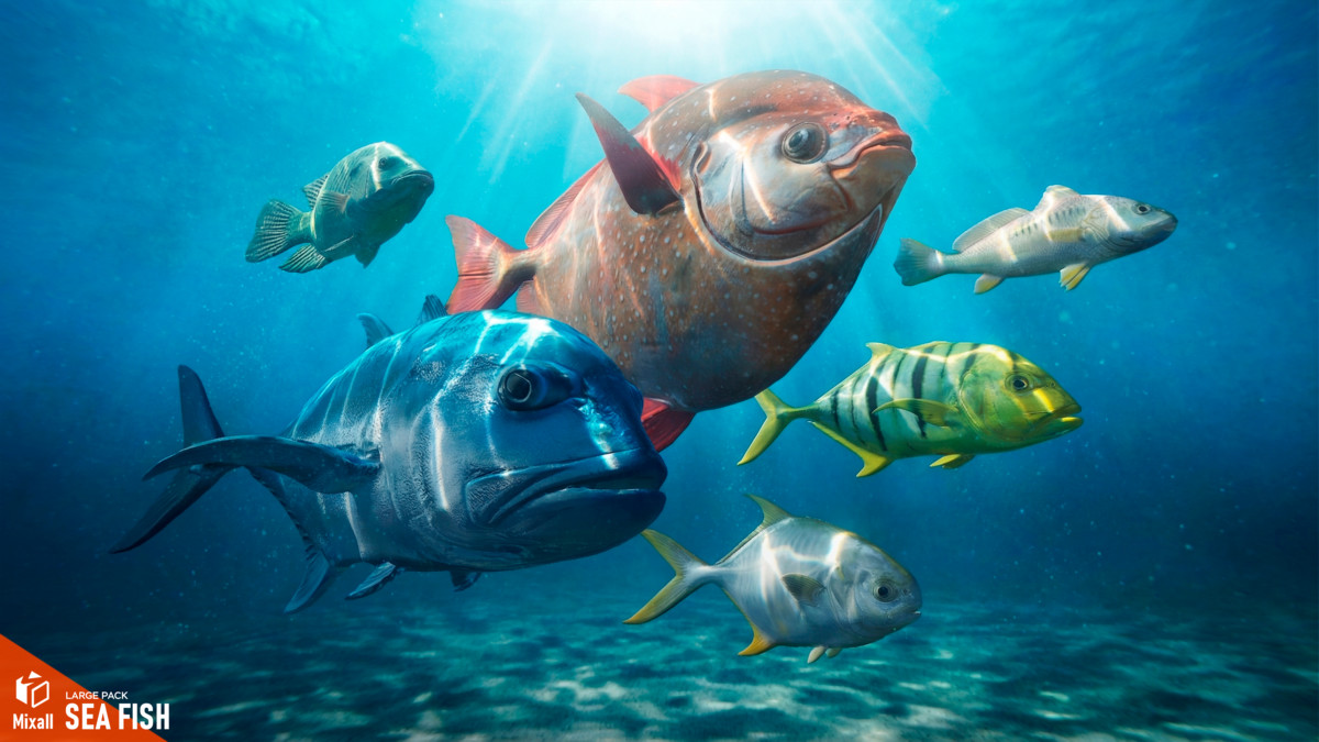 Sea fish - large pack