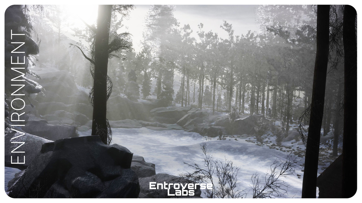 Taiga Biome Environment / Boreal Tundra Forest