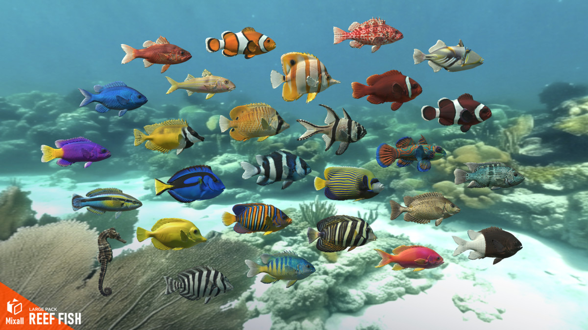 Reef fish - large pack
