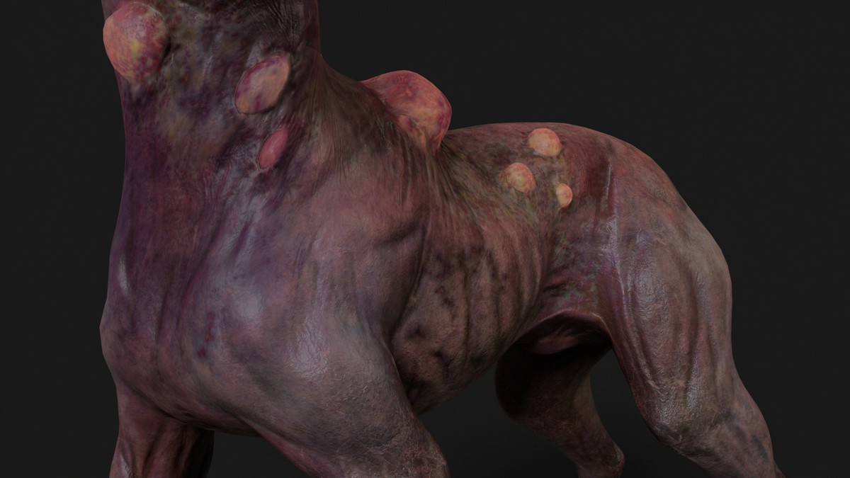 Dog - Mutant Collection