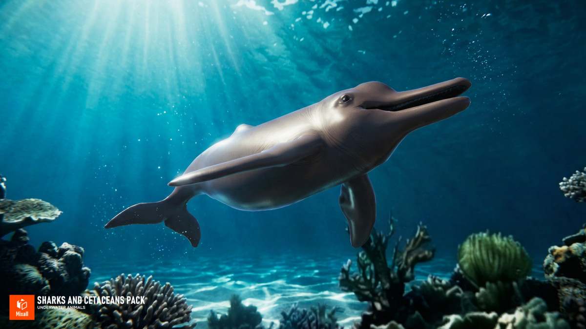 Sharks and Cetaceans Pack