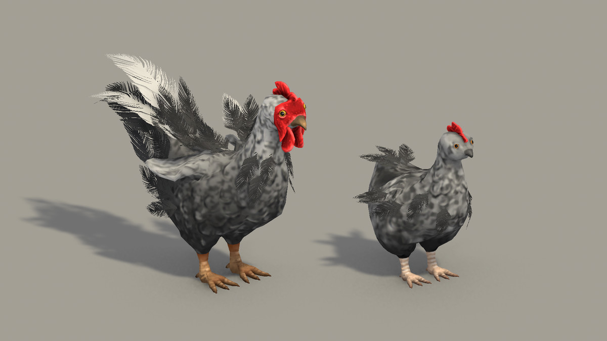 Stylized Hand-Painted Chickens
