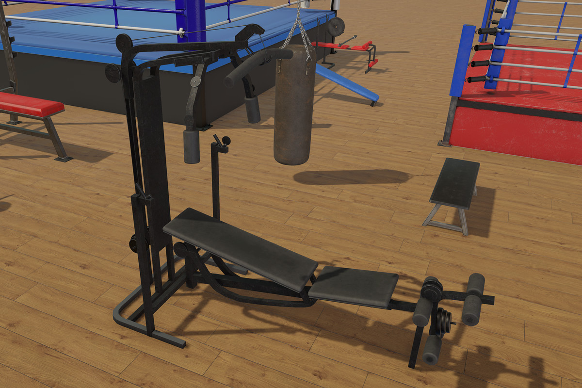 Boxing and Gym Equipment