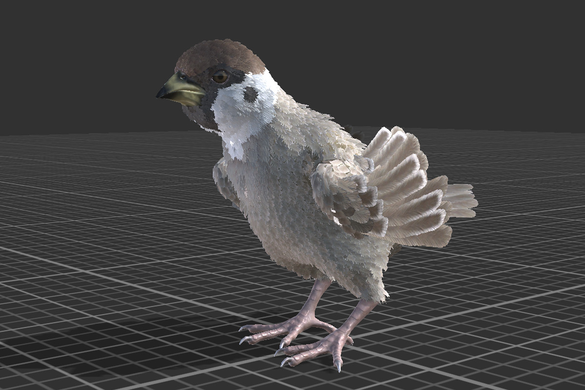 Sparrow Feathered