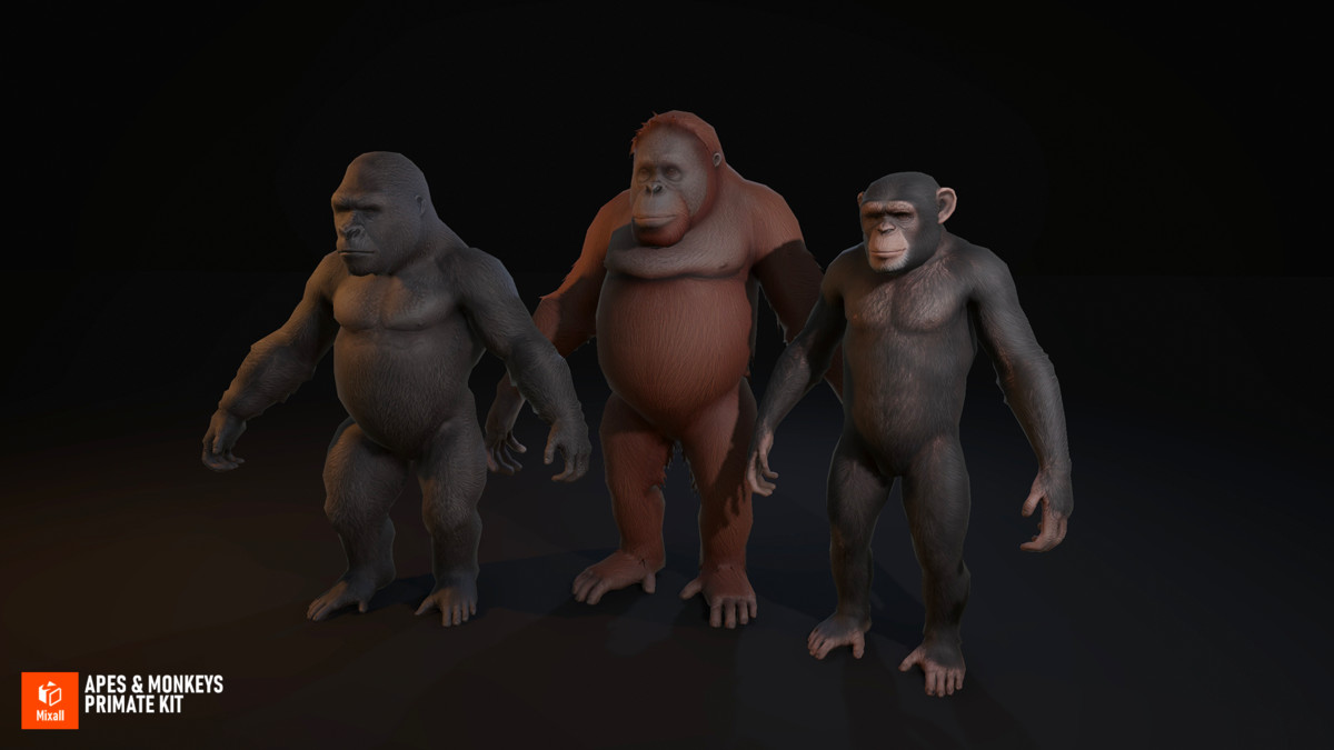 Apes & Monkeys - Primate Kit