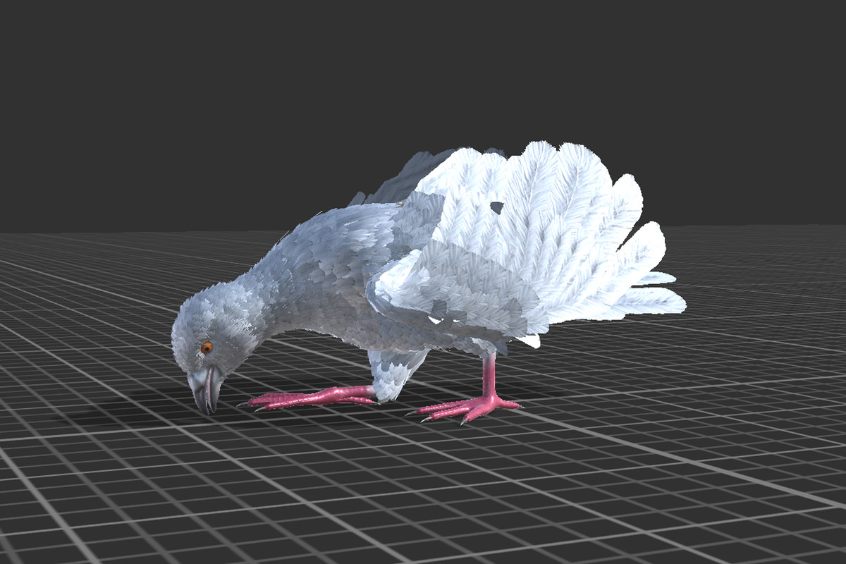 Pigeon Feathered