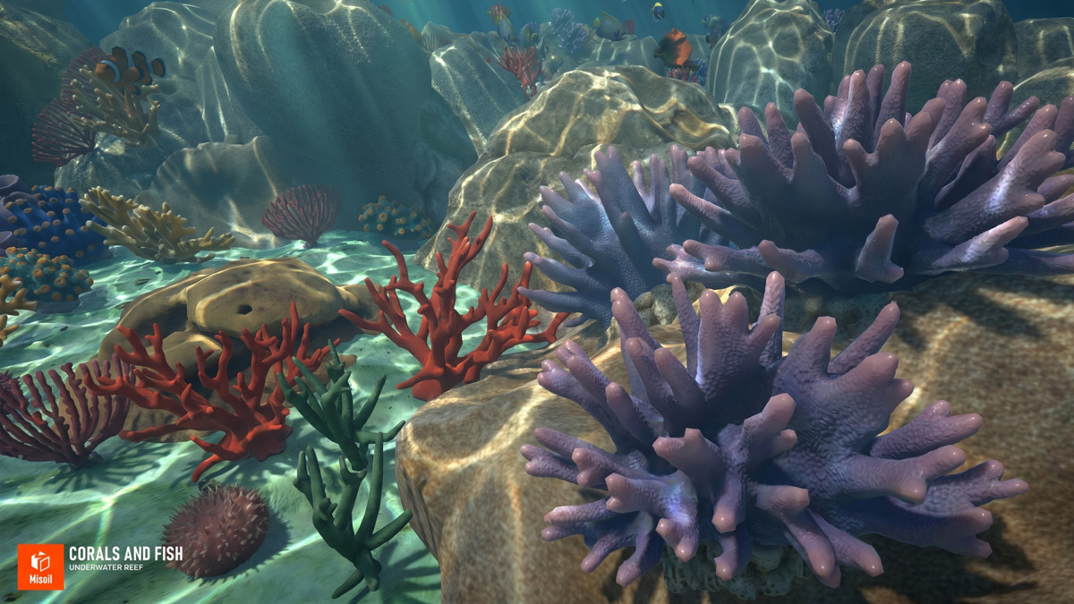 Corals and fish - underwater reef